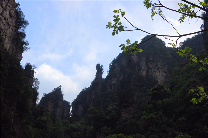 IMG_4069.jpg IMG_4069.jpg