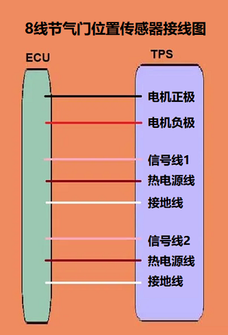 一個8線節氣門位置傳感器接線圖包含電機和電位器